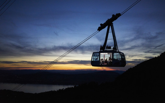 Schwebender Heiratsantrag am Fusse der Rigi